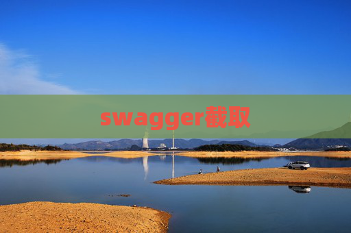 swagger截取